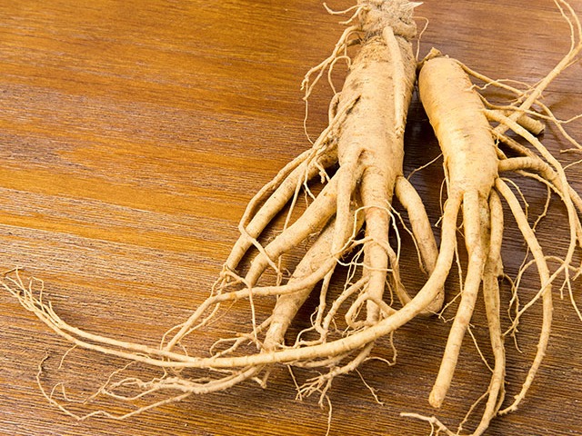 Panax Ginseng